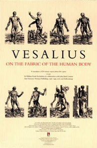 Vesalius’s <em>On The Fabric Of The Human Body</em> Poster
